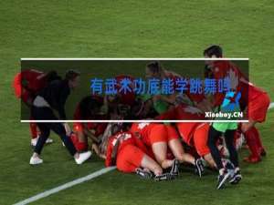 有武术功底能学跳舞吗