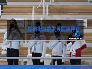 影响街舞的发展的舞种有哪些