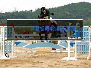 叶音街舞4的队长是谁