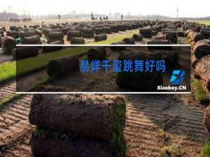 易烊千玺跳舞好吗