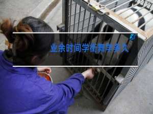 业余时间学街舞学多久