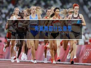 有氧舞蹈什么意思