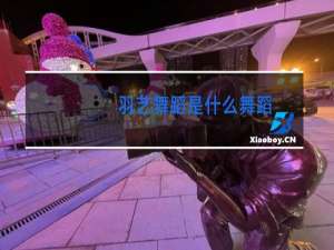 羽艺舞蹈是什么舞蹈