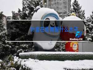 叶音在街舞圈什么水平