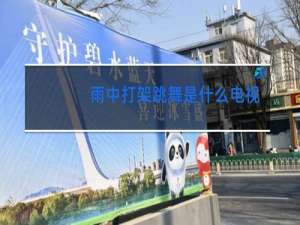 雨中打架跳舞是什么电视剧