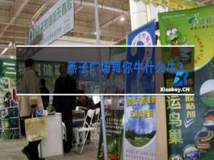 燕子广场舞你牛什么牛32步