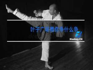 叶子广场舞你争什么争