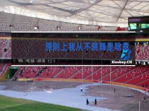 原则上我从不跳舞是啥意思