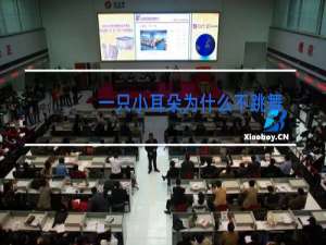 一只小耳朵为什么不跳舞了