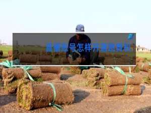 直播账号怎样开通跳舞权限