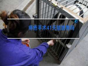 痔疮手术41天能跳舞吗