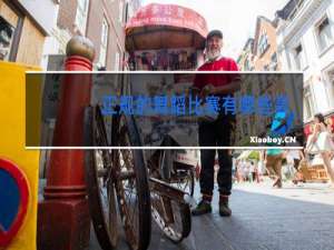 正规的舞蹈比赛有哪些高中