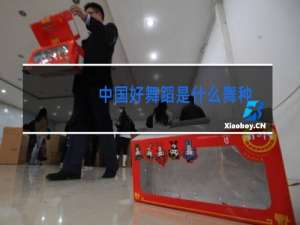 中国好舞蹈是什么舞种