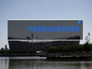 中国街舞协会委员会都有谁