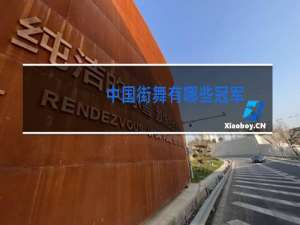 中国街舞有哪些冠军