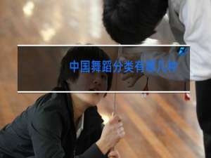 中国舞蹈分类有哪几种