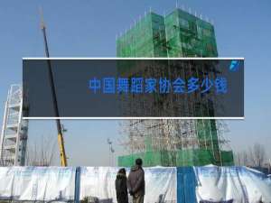 中国舞蹈家协会多少钱