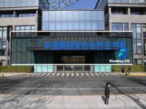 中国舞蹈家协会的证书教育部认可吗
