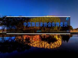 中国舞蹈家协会街舞委员会证书在哪查
