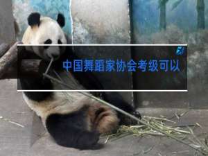 中国舞蹈家协会考级可以跳级考吗