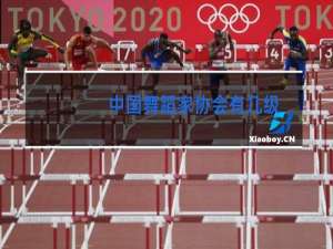 中国舞蹈家协会有几级