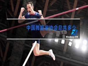 中国舞蹈家协会总共多少级