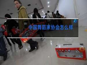 中国舞蹈家协会怎么样