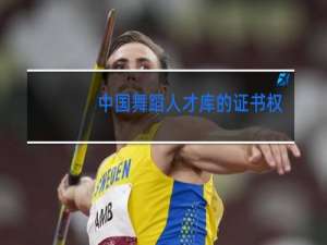 中国舞蹈人才库的证书权威吗