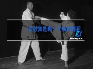 长鼓舞是哪一个族的舞蹈