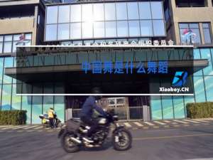 中国舞是什么舞蹈