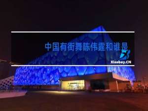 中国有街舞陈伟霆和谁是队长