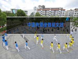 中国有哪些舞蹈女团