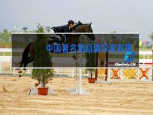 中国著名舞蹈编导家有哪些