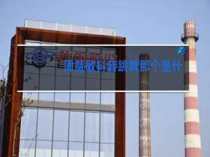 周慧敏抖音跳舞那个是什么歌