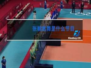 张翰跳舞是什么节目