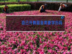 自己开舞蹈室需要学历吗