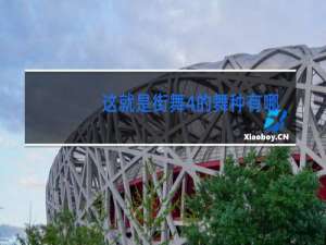 这就是街舞4的舞种有哪些
