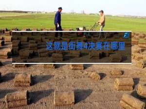 这就是街舞4决赛在哪里举办