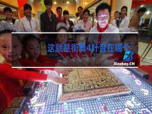 这就是街舞4叶音在哪个战队
