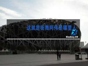 这就是街舞阿伟是哪里人