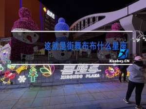 这就是街舞布布什么星座呢