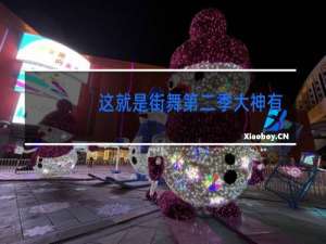 这就是街舞第二季大神有哪些