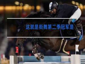 这就是街舞第二季冠军叶音是哪个战队的
