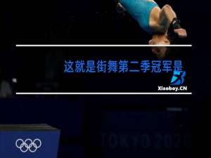 这就是街舞第二季冠军是哪个