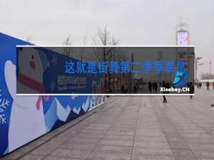 这就是街舞第二季季军是谁