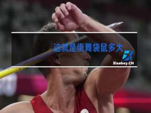 这就是街舞袋鼠多大