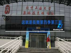 这就是街舞第四季第三期布布被淘汰了吗