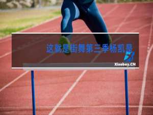 这就是街舞第三季杨凯是哪个战队