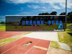 这就是街舞第一季有谁参加