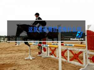 这就是街舞范范有什么作品